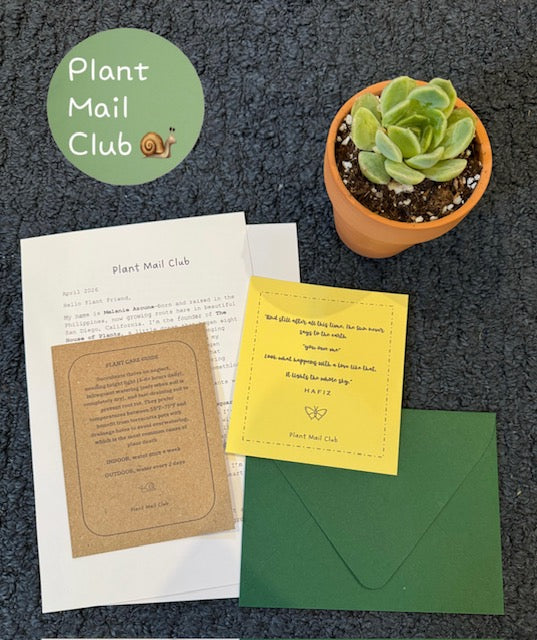 can you mail a potted plant Plant Mail Club