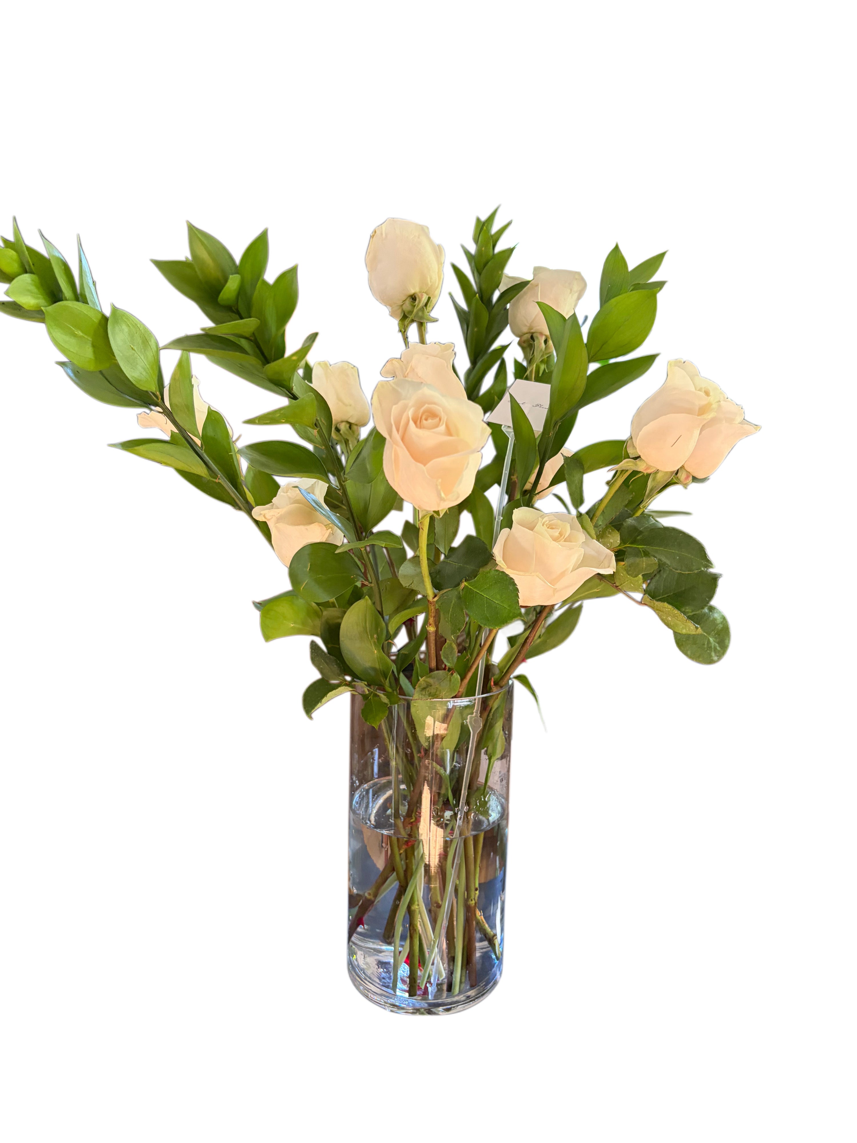Classic One Dozen Roses